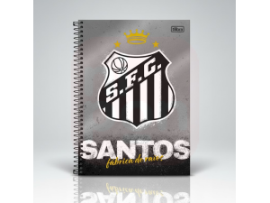 Caderno Universitário Santos 10 Matérias 160 Folhas - Tilibra